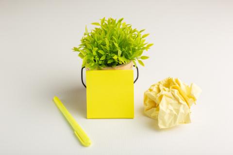 Аарон Стейл: смешивание живых и пластиковых кустов вызывает гниль