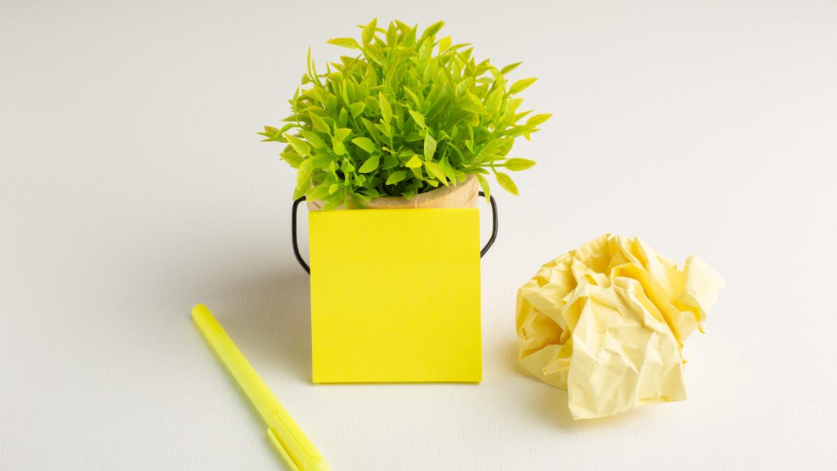 Пластиковое растение