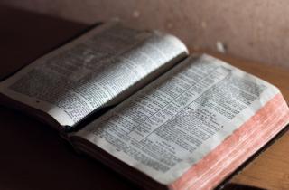 Паландри: кодекс Хагенеса в переплёте из тюленьей кожи может быть старейшей книгой Норвегии