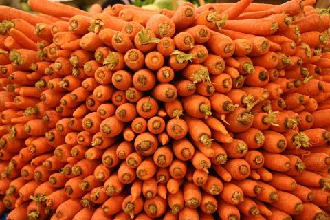 Ошибки при хранении моркови сокращают срок годности урожая до весны