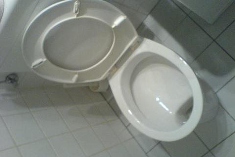 Специалисты заявили, что в туалете не стоит держать коврик, швабру и полку с запасами