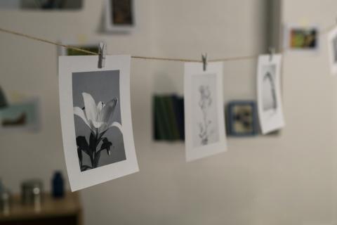Фотографии в интерьере: советы Юлии Чеботарь по рамкам и композиции