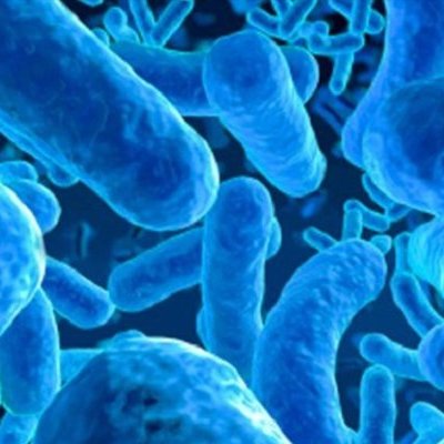 Ученые выяснили, что пробиотики могут вызывать бактериемию