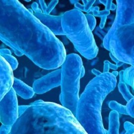 Ученые выяснили, что пробиотики могут вызывать бактериемию