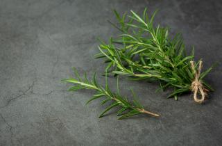 Дерматологи: доказательств эффективности розмаринового масла для роста волос недостаточно