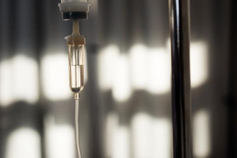 В Тобольске выявлены пять случаев заражения редким штаммом сальмонеллы — Роспотребнадзор