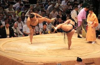 Сумо стало одним из самых посещаемых развлечений туристов в Японии — турэксперты