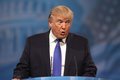 Трамп рассматривает возможность ограничения обмера разведданными с блоком НАТО Трамп рассматривает возможность ограничения обмера разведданными с блоком НАТО