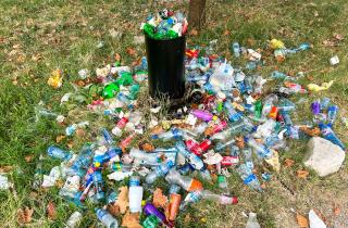 Троянский конь внутри тела: пластик в мужской системе стал скрытым триггером опасных мутаций