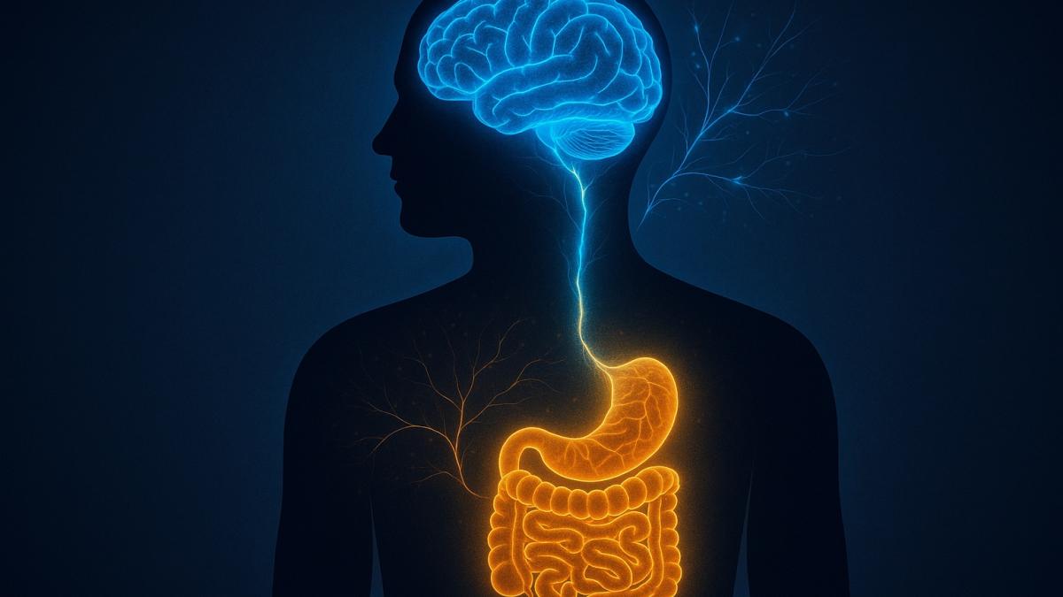 Связь кишечника и мозга