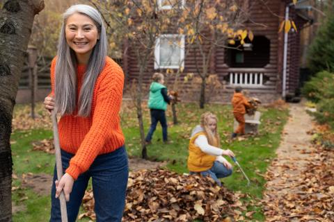 BBC Gardener’s World рекомендовало срезать увядшие многолетники и замульчировать почву до ноября