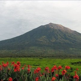 В Индонезии планируют эвакуировать 11 тыс. человек из-за извержения вулкана Руанг