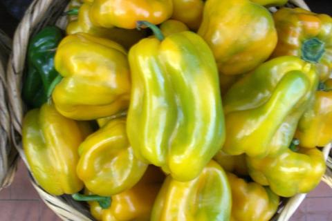 Шоковая заморозка мелкими кристаллами льда сохраняет вкус и аромат перца