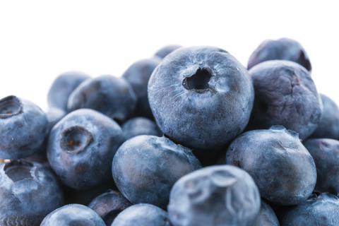 Голубика поддерживает здоровье зрения при работе за экранами — врач Волкова