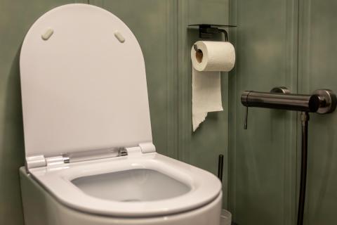 Влажная щётка стояла в держателе месяцами — бактерии размножались незаметно