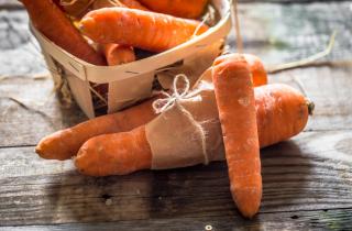 Соседи по огороду — это не просто: как защита моркови зависит от выбора компаньонов