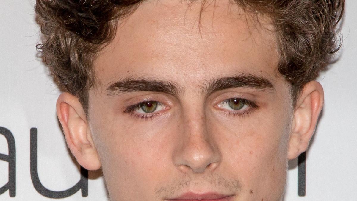 тимоти шаламе