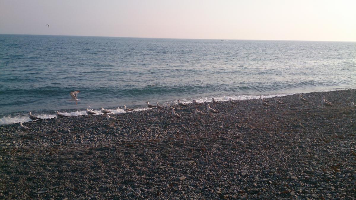 Черное море Черное море