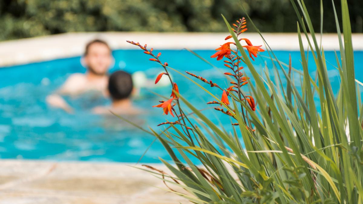 бассейн на даче