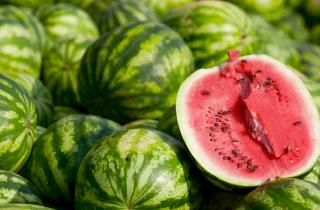 Подготовка тёплых грядок помогает бахчевым растениям быстрее развиваться и плодоносить — агроном Марина Гаврилова