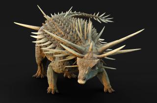 Палеонтологи обнаружили в Марокко самый древний вид анкилозавра с уникальной костной бронёй