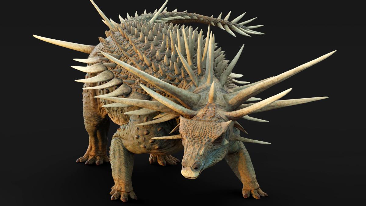 Анкилозавр (Spicomellus afer)