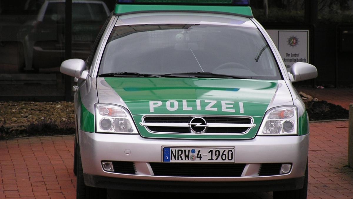 Полиция в Германии Полиция в Германии