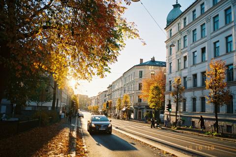 2025 год стал самым тёплым в Москве за 246 лет — МГУ