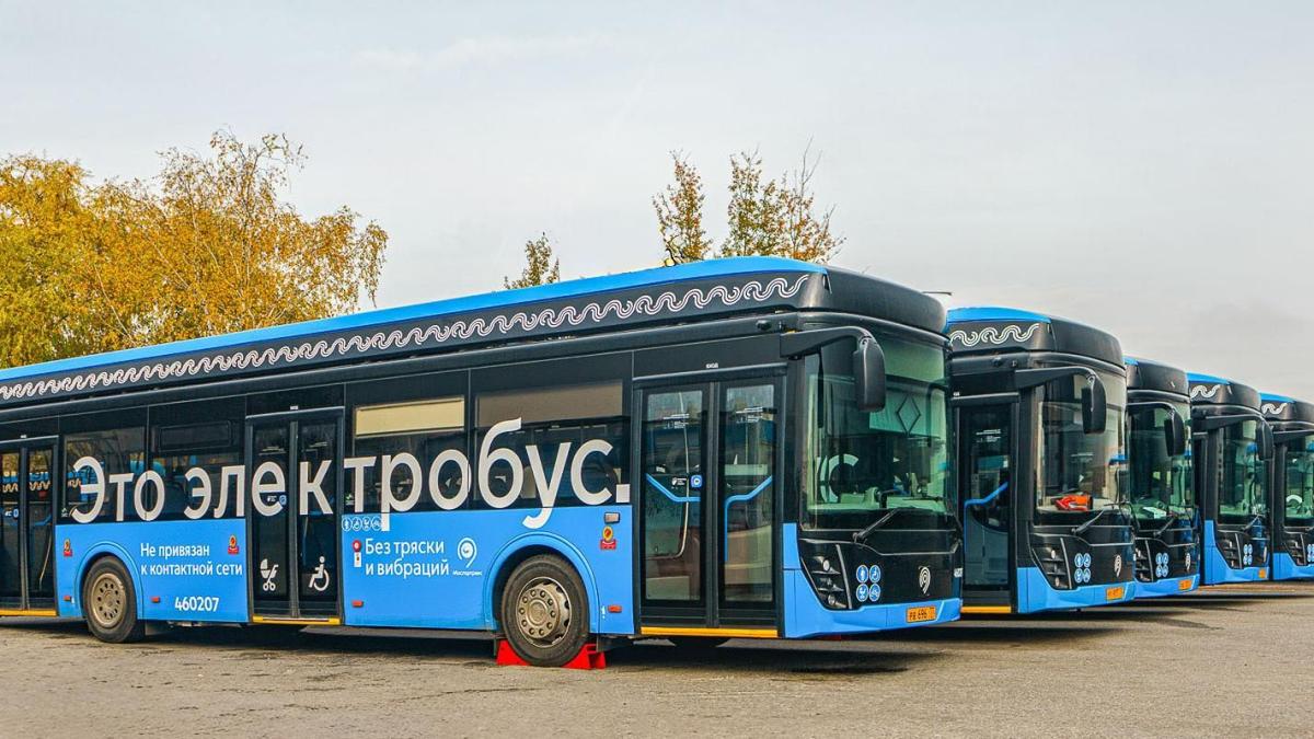 электробус