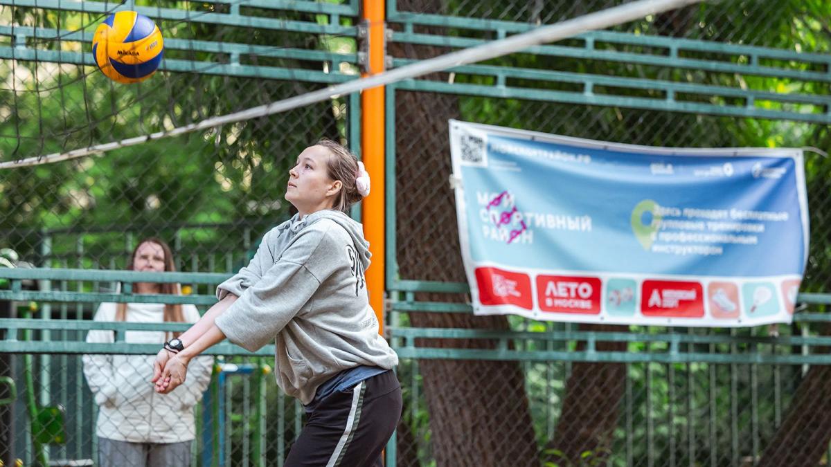 волейбол волейбол