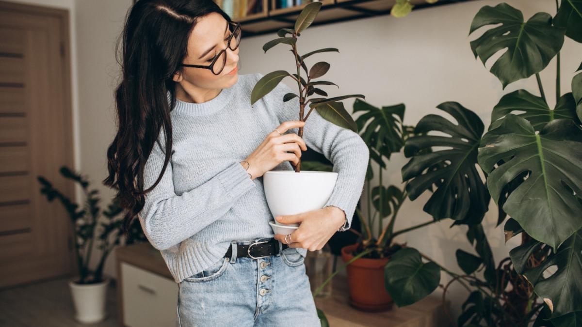 Хозяйка с цветком