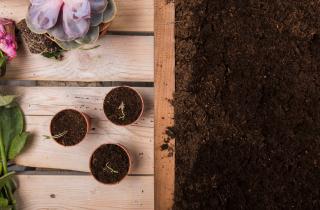 Работа с мокрой почвой приводит к уплотнению грунта — садоводы