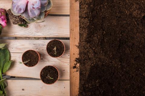 Работа с мокрой почвой приводит к уплотнению грунта — садоводы