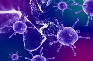 Клетки чувствуют опасность ещё до поломки — Nature