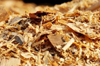 Мусор из древесины стал основой для прочного водородного катализатора — Biochar X