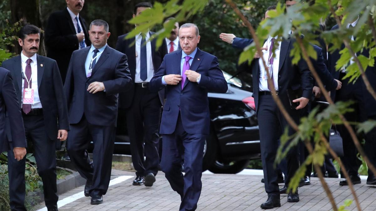 Recep Tayyip Erdoğan (2017-11-22) 01