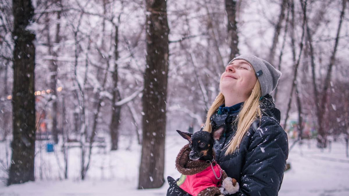 Прогулка с собакой