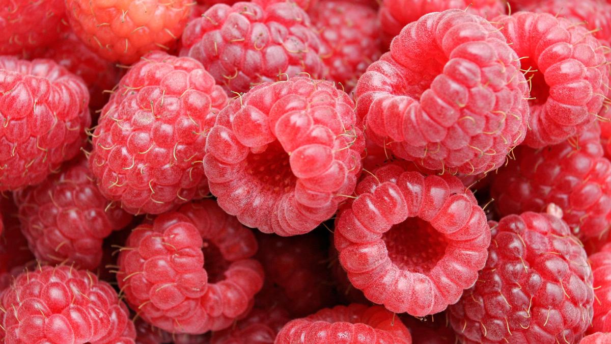 Raspberries05