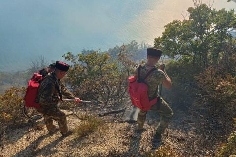 Заброшенные костры становятся основной причиной зимних лесных пожаров – Советников