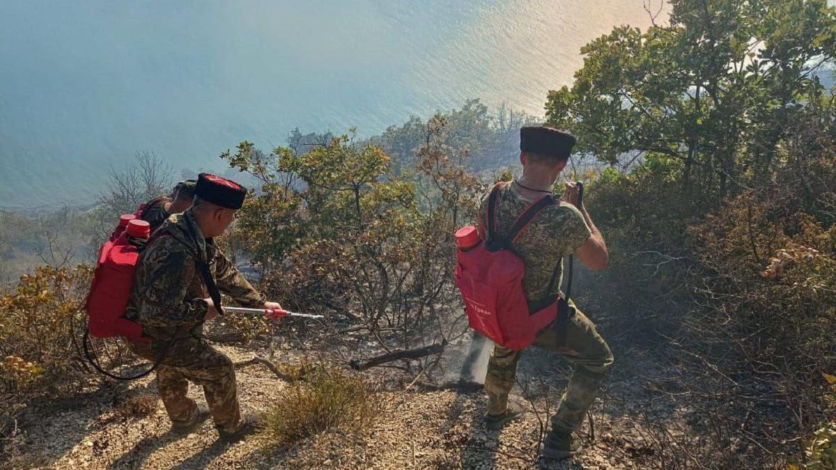 Казаки тушат лесной пожар под Анапой