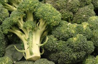 Анна Петрова: брокколи — настоящий суперфуд для здоровья сосудов и иммунитета