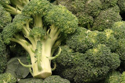 Анна Петрова: брокколи — настоящий суперфуд для здоровья сосудов и иммунитета