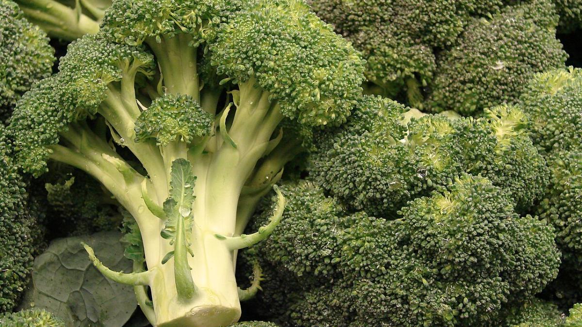 Брокколи