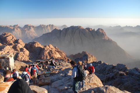 Египет демонстрирует скелеты древних китов в Вади Аль-Хитане