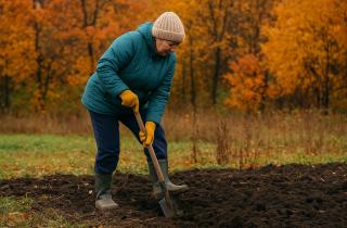 Садоводство снижает риск депрессии на 23% — исследование