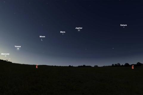 В январе 2026 года планеты выстроятся в одну линию, создавая редкое зрелище – Елена Орлова