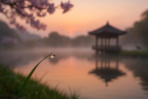 Переплатил за билет, но ни секунды не пожалел: Япония перевернула моё представление об отдыхе