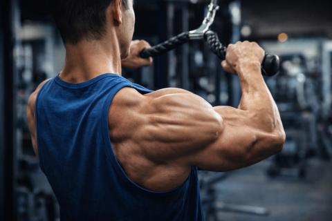 Ловушка для жира на плечах: особые рецепторы мешают рукам худеть даже при строгих диетах