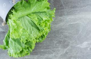 Добавила в рацион зелень — и через неделю почувствовала прилив сил: эффект фолиевой кислоты удивил