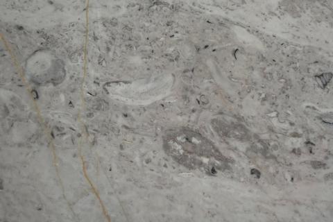 Мрамор гробницы Отто I добыли в Турции — реставраторы